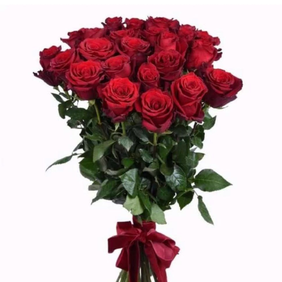 Роза Эквадор «Бордо» (70 см.)