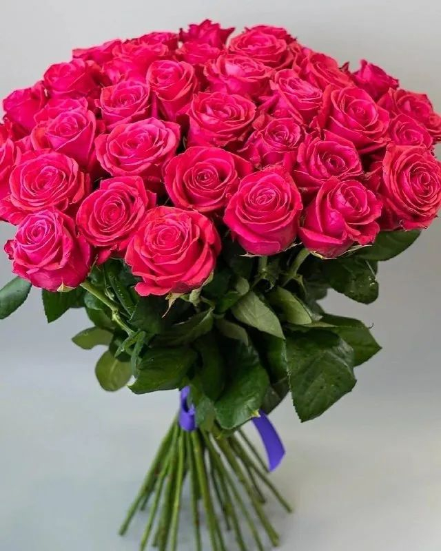 Роза Эквадор «Хот Спот» (60 см.)