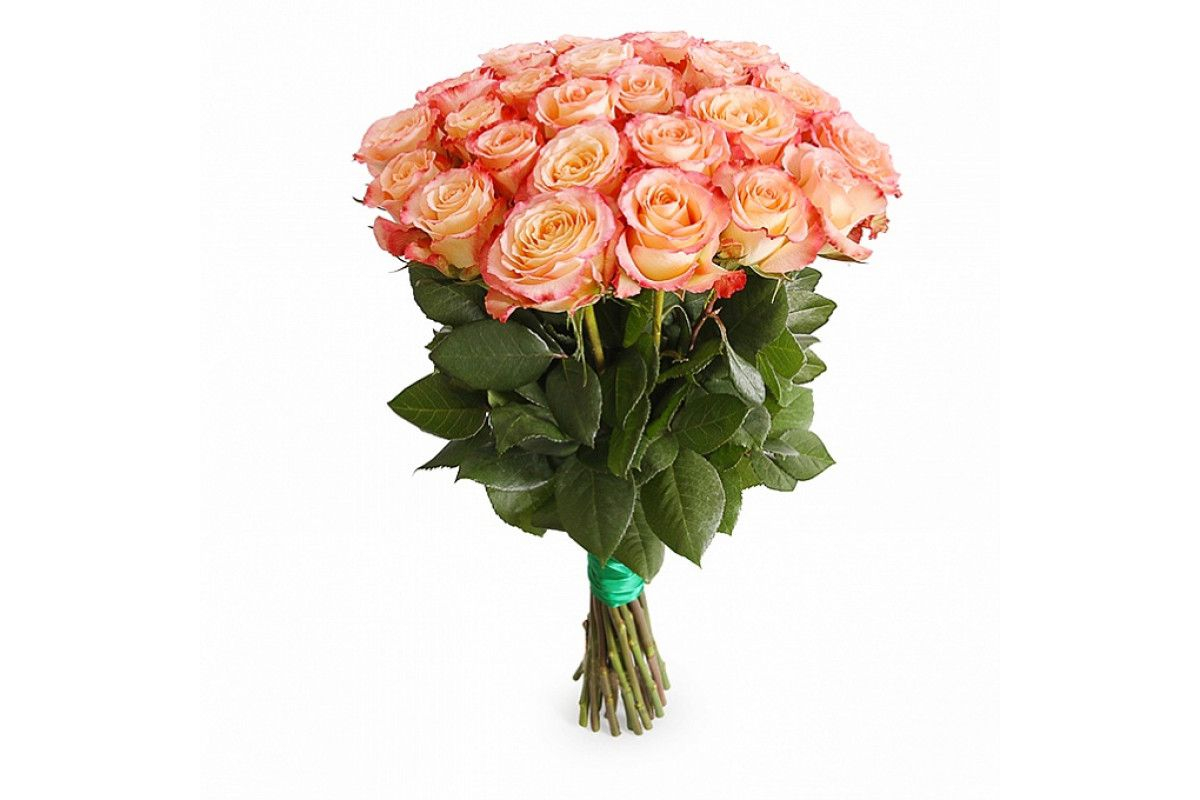 Роза Эквадор «Кабарет» (60 см.)